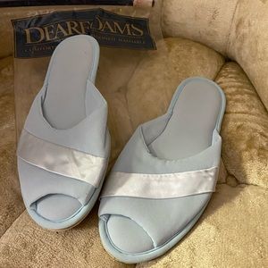 Vintage baby blue slippers